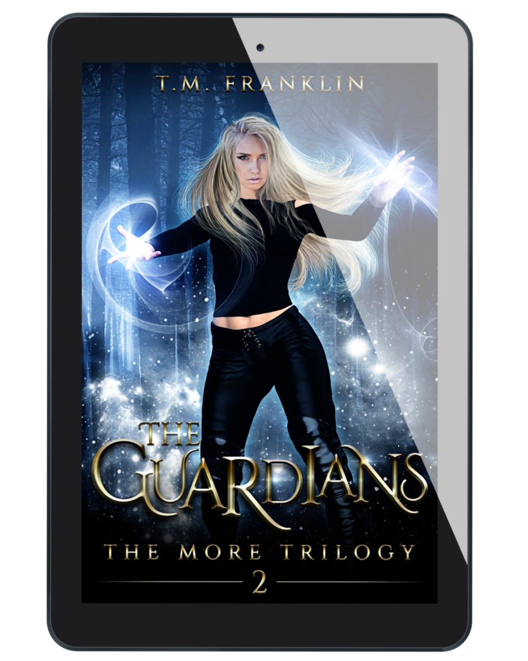 THE GUARDIANS eBOOK